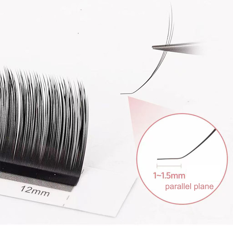 dream ballet Camellia Lashes w - Eyelash Extension Remover At Home 评论和价格