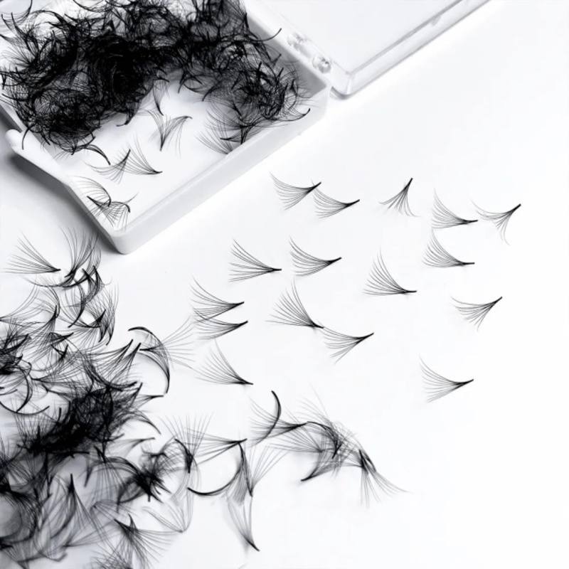 500 Fans Handmade Loose Premad - Eyelash Extension Medium 评论和价格