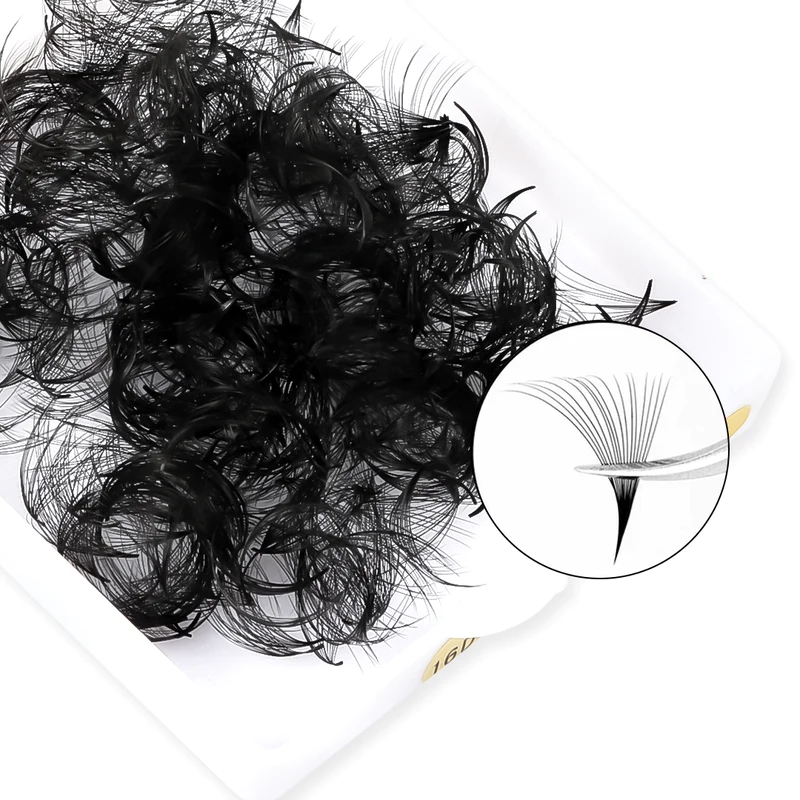TDANCE 1000 Fans Loose Fan Las - Eyelash Extension Medium 评论和价格